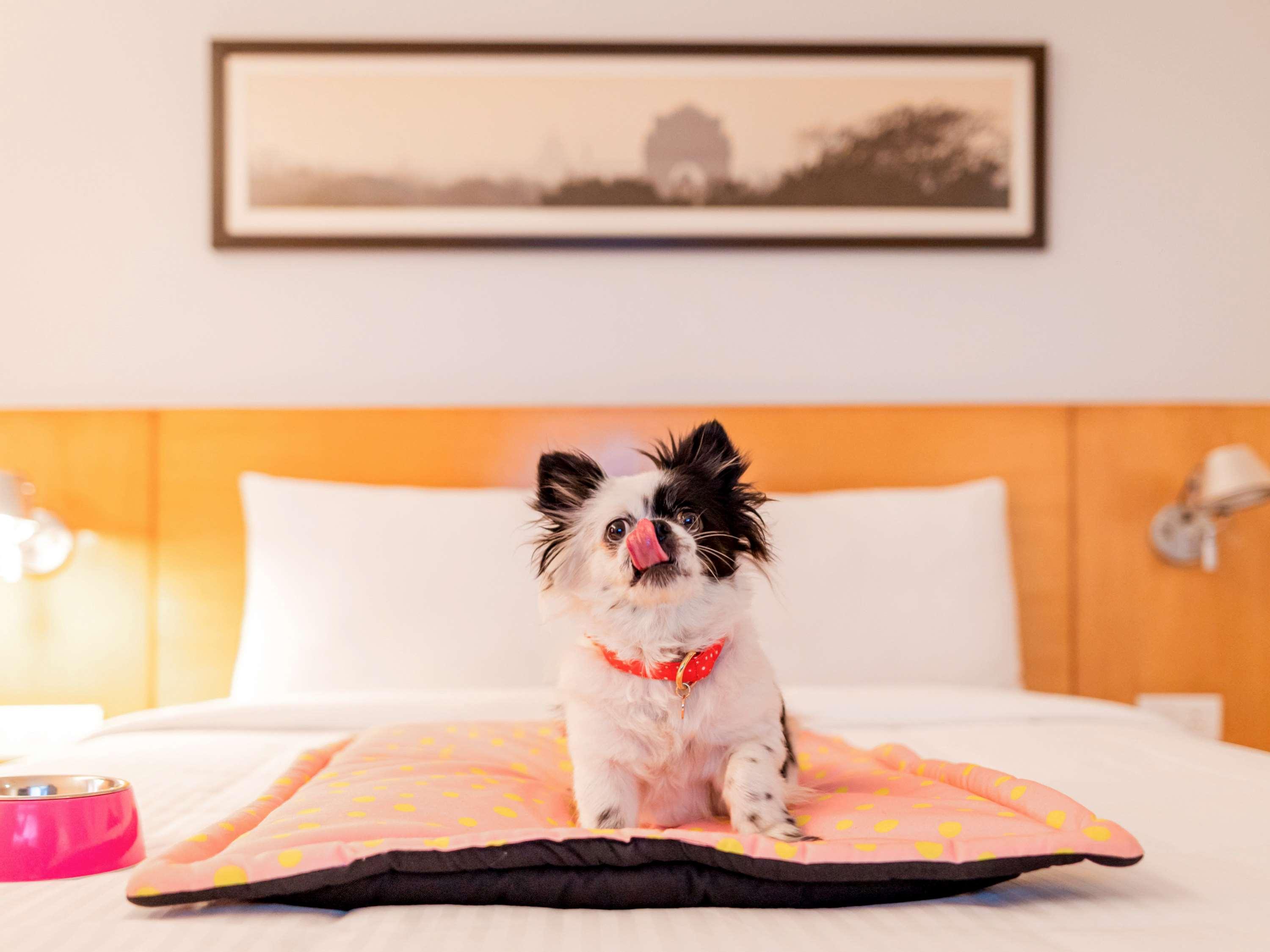מלון Ibis Gurgaon Golf Course Road - An Accor Brand מראה חיצוני תמונה