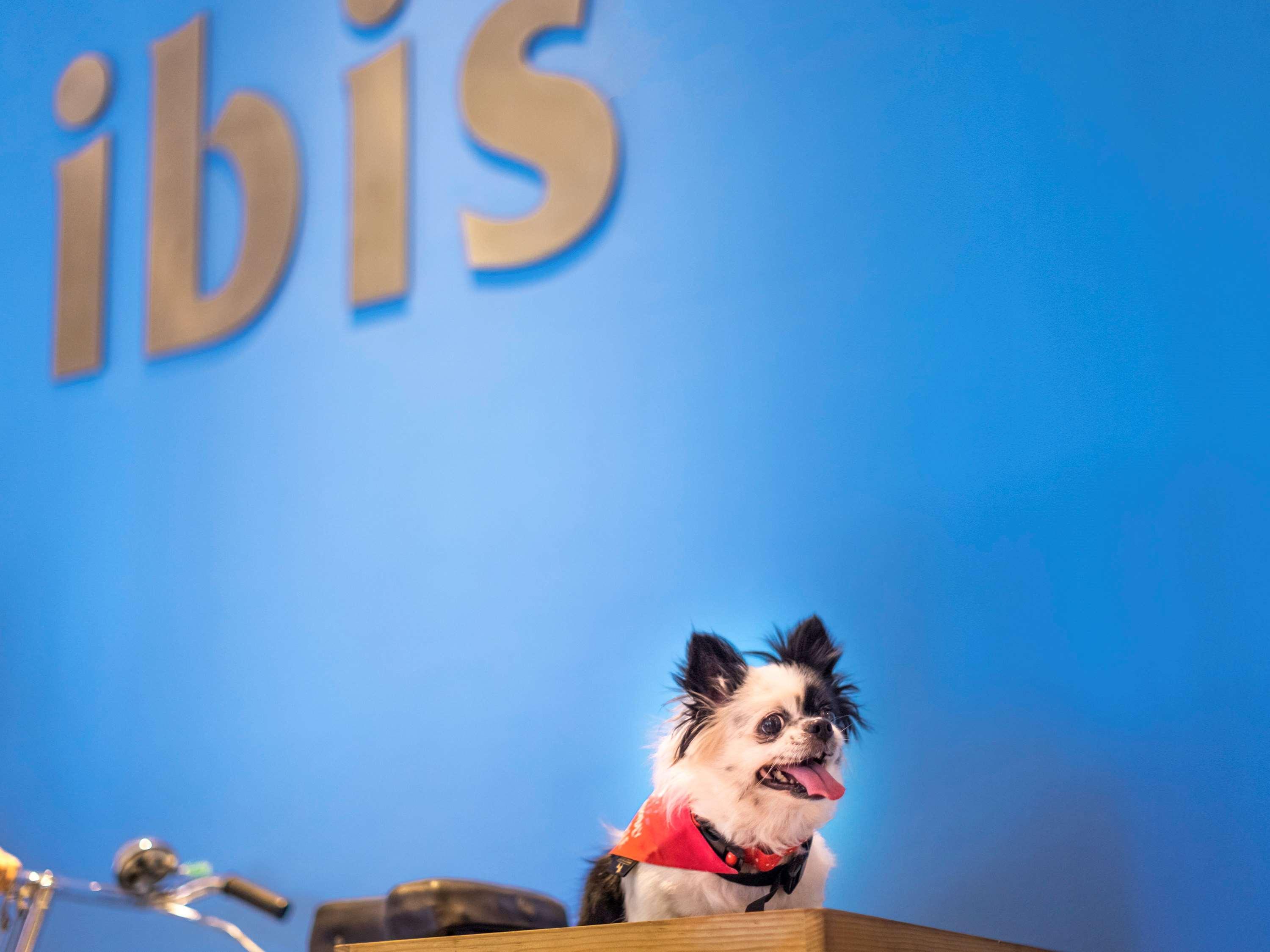 מלון Ibis Gurgaon Golf Course Road - An Accor Brand מראה חיצוני תמונה